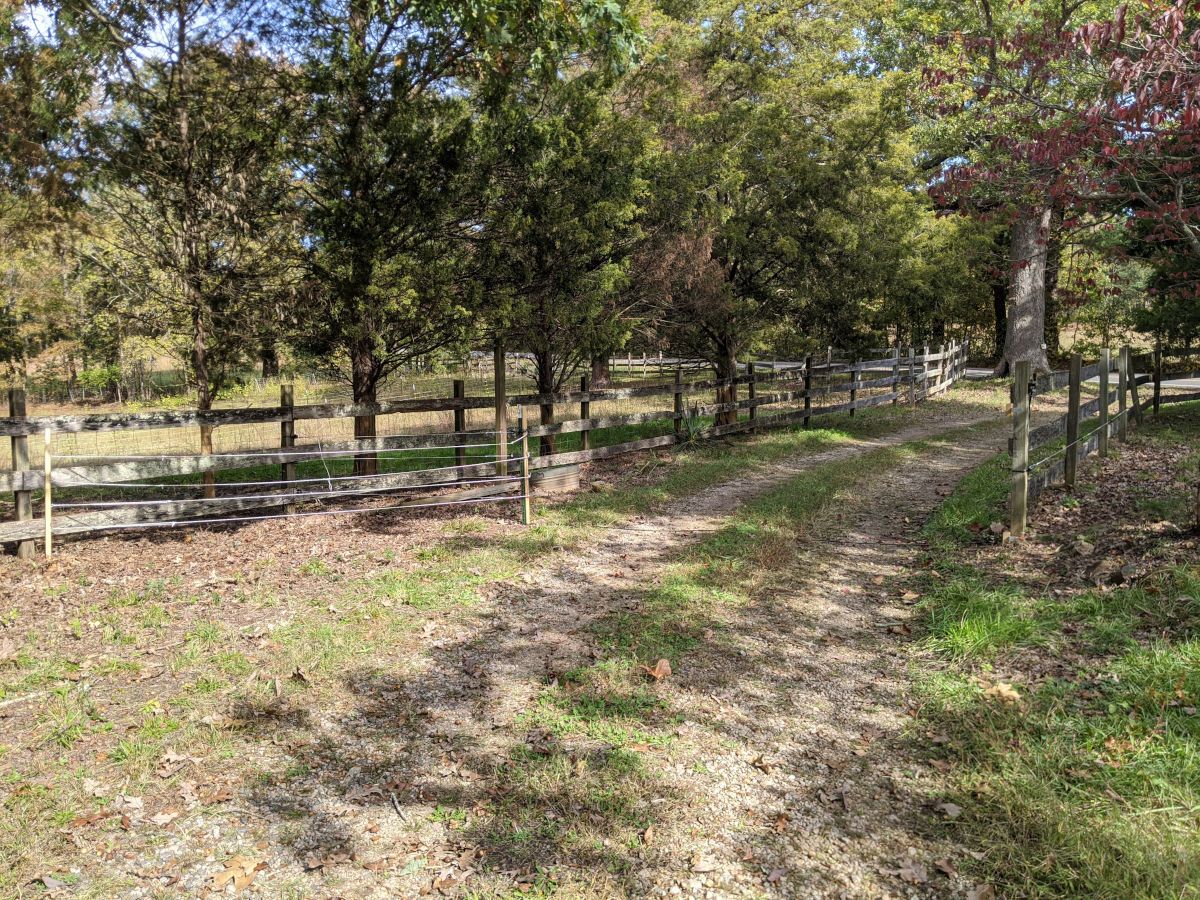 driveway-gate-01.smaller
