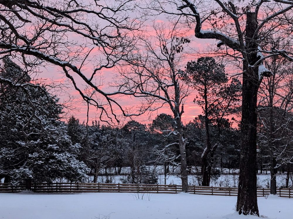snowed-in-morning-glory-smaller